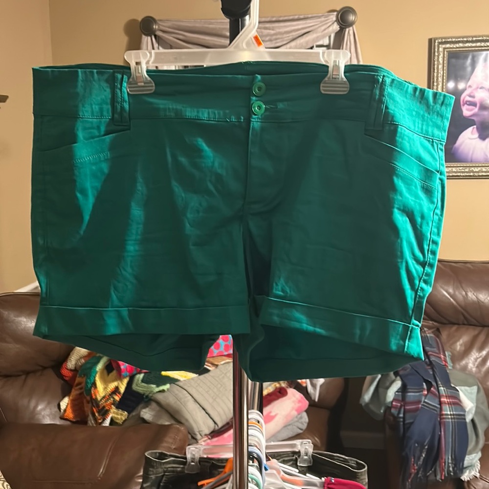 Women’s torrid short size 20